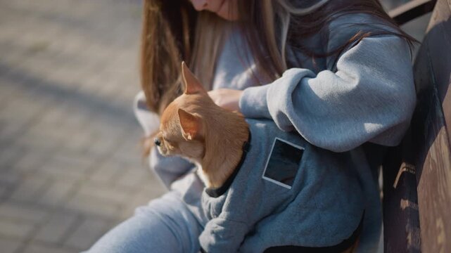 bench scene small dog peeks from padded backpack carrier, owner adjusts zipper and strap, cozy pouch keeps pup snug during commute, urban pavement and soft afternoon light frame transit moment