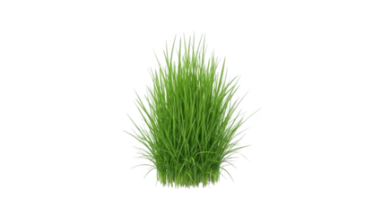 A lush green grass tuft is centered on a pristine white background in high fidelity illustration.