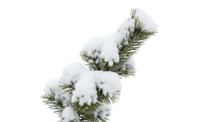 Snow-covered pine branches bent under heavy snowfall in a serene winter landscape viewed from below.