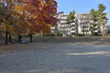 千里ニュータウン古江台（大阪府吹田市）の府営千里古江台住宅