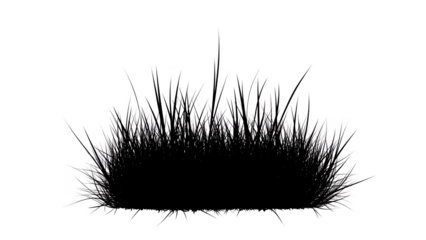 Black silhouette of grass blades against a white background, illustration view