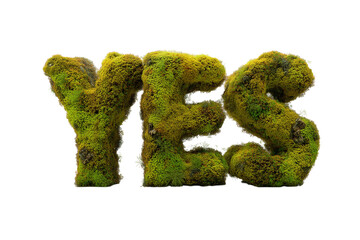 Yes formed with green moss lettering and soft organic edges isolated on transparent background