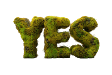 Yes formed with green moss lettering and soft organic edges isolated on transparent background