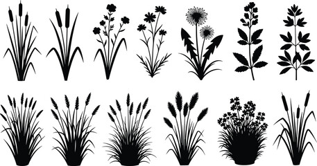 Wild grass silhouettes and flower plant collection with cattails, reeds, and meadow vegetation for cad drawing flat vector illustration, set © Heyy there