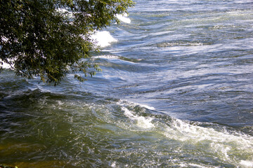 Flowing River Water with Ripples and Tree Branches