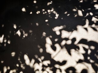 Light and shadow on the wall surface.