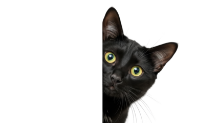 A black cat peeks curiously from behind a white barrier with bright yellow eyes and alert ears.