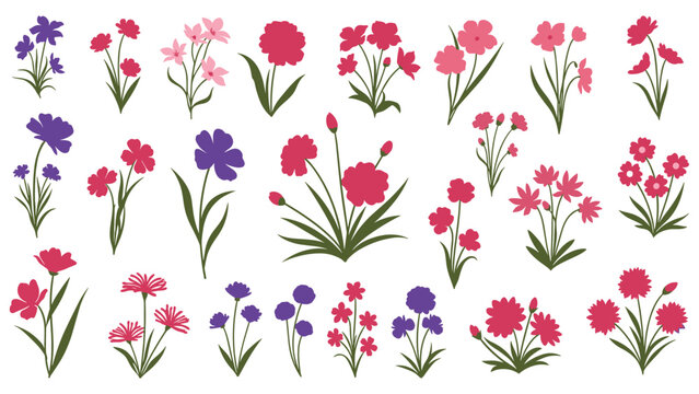 A large and vibrant collection of stylized carnation flowers and bouquets in shades of pink, red, and purple for floral designs.