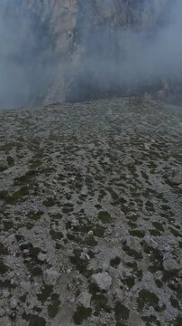 Vertical screen Mist-shrouded alpine moor with scattered scree and hardy shrubs, low vegetation patterns across rocky ground; botanist envisioned surveying alpine flora, damp air and subdued