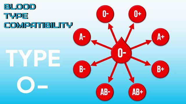 Blood Type Compatibility Flow Animation. A simple animation about blood types that can be transfused to other blood types.