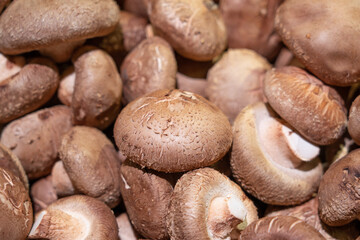 closeup of shiitake mushrooms in market