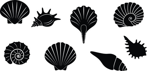 Sea shell silhouettes collection with marine shapes. Black shell icons including scallop and spiral forms.