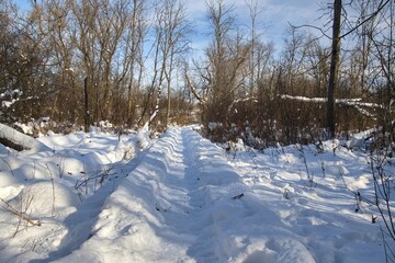 On a sunny winter day, the view of a snow-covered boardwalk passing through forest along the Loew Lake Segment of The Ice Age Trail near Monches, Wisconsin.