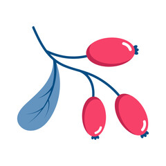 Red berries. Winter plant. Winter branches and leaves. Winter floral elements. Holiday decoration. Vector illustration