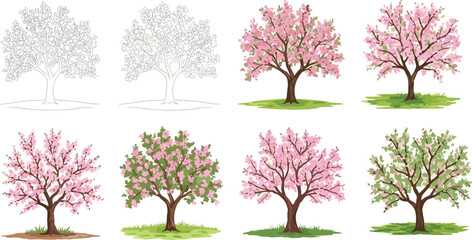 Obraz premium Beautiful cherry blossom tree vector illustration set with pink flowers, spring season design, botanical elements, and decorative floral artwork