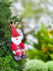 Festive Christmas gnome ornament wearing red plaid shirt hanging on a coniferous tree, outdoor holiday concept.