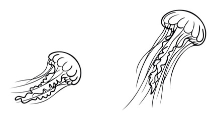 Minimalist line drawing of two medusae swimming in the ocean, a simple graphic icon for tattoos, logos, or marine biology educational materials.