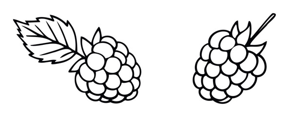 Set of two hand drawn raspberries shown in a simple outline style, a minimalist graphic of summer berries for food menus, packaging, or nature themed projects.