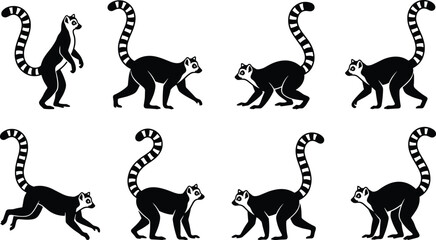 Ring tailed lemur silhouettes collection, playful primate walking and jumping poses, wild animal character set, isolated black vector illustration © MdHasan
