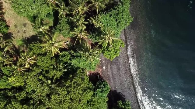 Drone video showcasing a breathtaking aerial view of Bali's forest-backed shoreline near Amed, featuring lush green foliage, dark sand, and shimmering ocean waves under bright sunlight.
