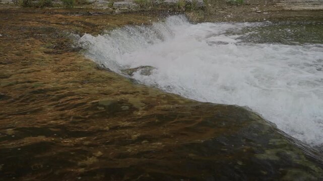 Salmon struggle midstream in Ontario. Slow motion reveals relentless effort