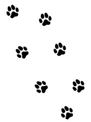 Fototapeta premium 犬の足跡（痕跡）
