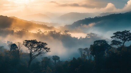 A misty sunrise over rolling hills, with trees silhouetted against the golden light.