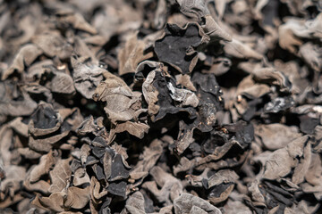 Dried black fungus or wood ear mushroom background  © zhikun sun