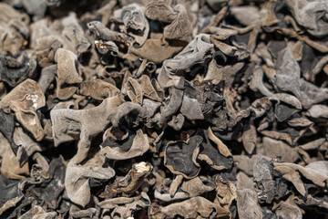 Dried black fungus or wood ear mushroom background  © zhikun sun