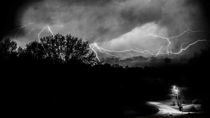 Tumult Behind A Quiet Suburban Road