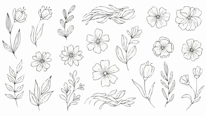 Collection of Hand Drawn Botanical Elements and Floral Illustrations.