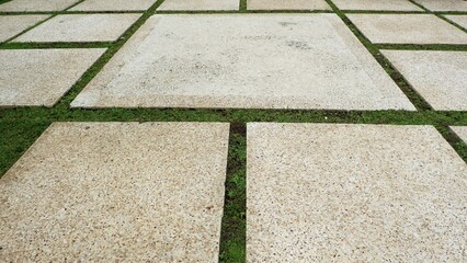 A top-down perspective of square concrete paving slabs with a speckled stone texture, separated by thin strips of green grass growing in the gaps of a modern garden walkway.