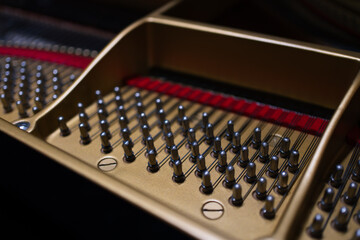 Detailed view of tuning pins and piano strings inside a grand piano, showcasing precision metal components and red felt string dampers.