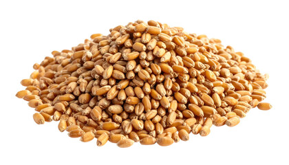 Fototapeta premium A close-up view of a pile of golden-brown grains against a black backdrop