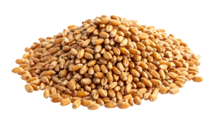 A close-up view of a pile of golden-brown grains against a black backdrop
