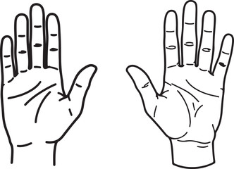 Obraz premium Left and Right Human Hand Outline – Palm View Vector Illustration for Anatomy, Sign Language, and Educational Use