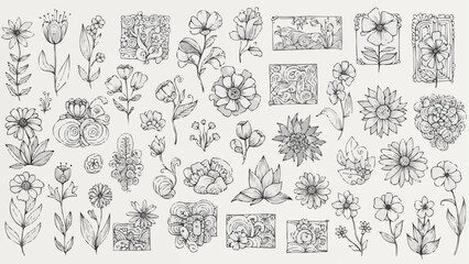 Collection of Hand Drawn Botanical Illustrations and Floral Elements.