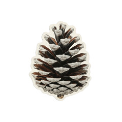 A close-up of a pine cone against a plain white background