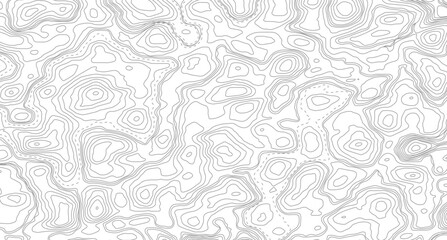Topography background. Vector banner. Topography map background. Vector geographic contour map. Background of the topographic map. © Mst
