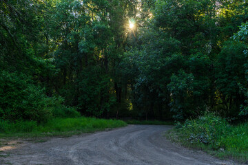 Oak Island Wildlife Refuge, Sauvie Island, Oregon	