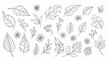 Collection of Hand Drawn Botanical Elements and Flowers.