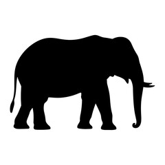 Fototapeta premium Elephant Silhouette