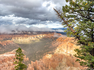 Bryce Canyon National Park in fog