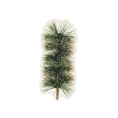 A single pine branch with lush green needles isolated on a white background viewed from directly above