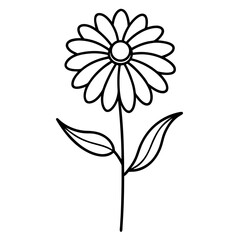 helenium wyndley vector