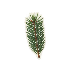 A single fir branch with green needles and a brown stem isolated on a white background