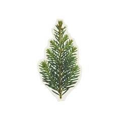 A close-up of a green fir branch sticker on a white background
