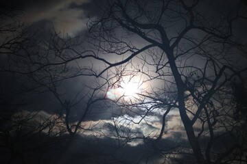 spooky halloween night