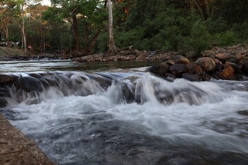 waterfall in the forest