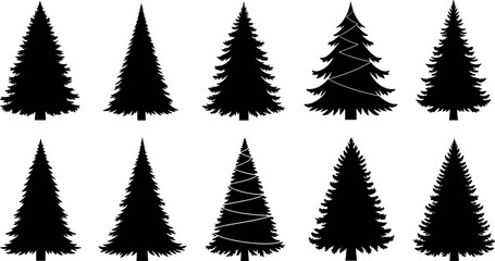 Obraz premium Set of ten black pine tree silhouettes and evergreen fir silhouettes for winter holiday season forest landscapes outdoor adventure branding and Christmas graphic design elements